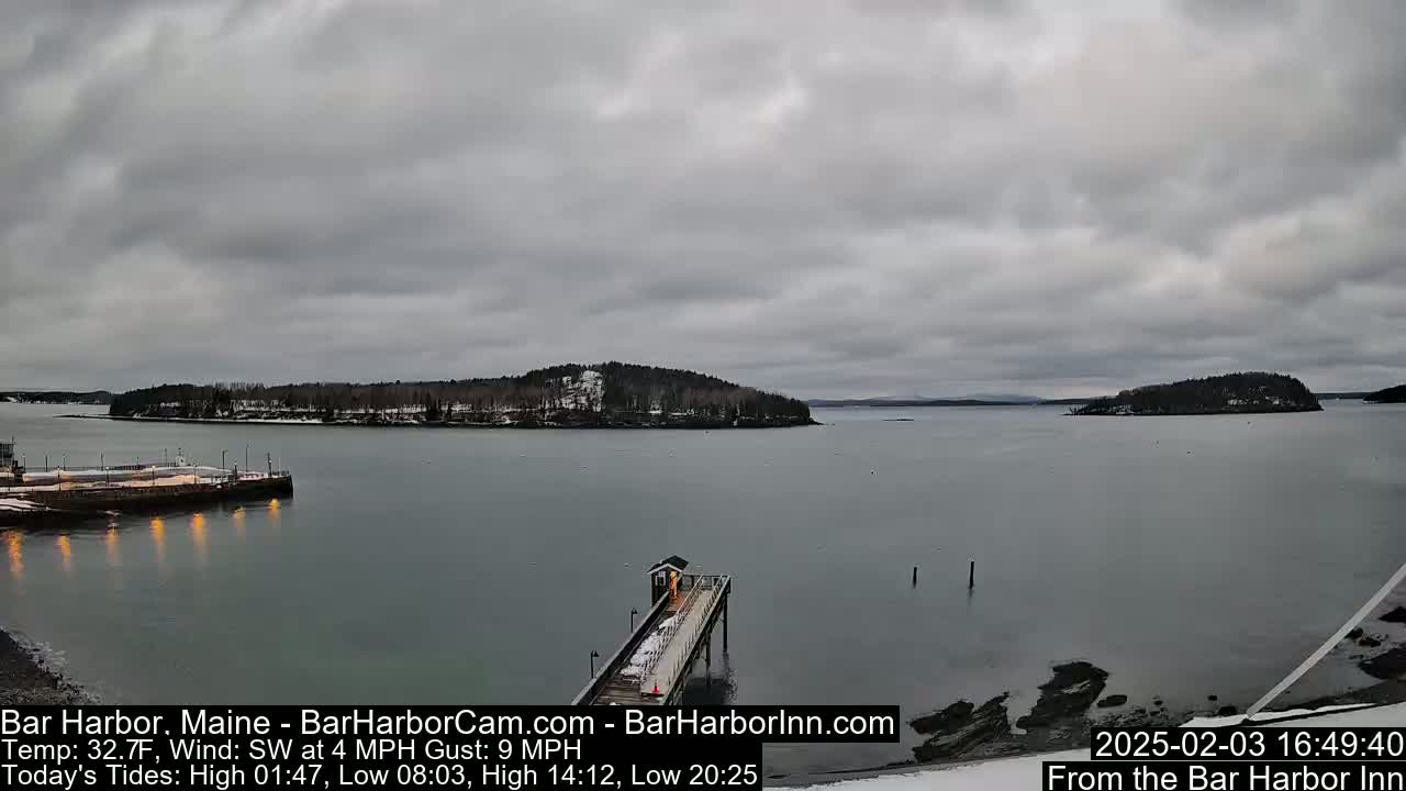 A long pier extends into a calm body of water under an overcast sky, with a small island visible in the distance.