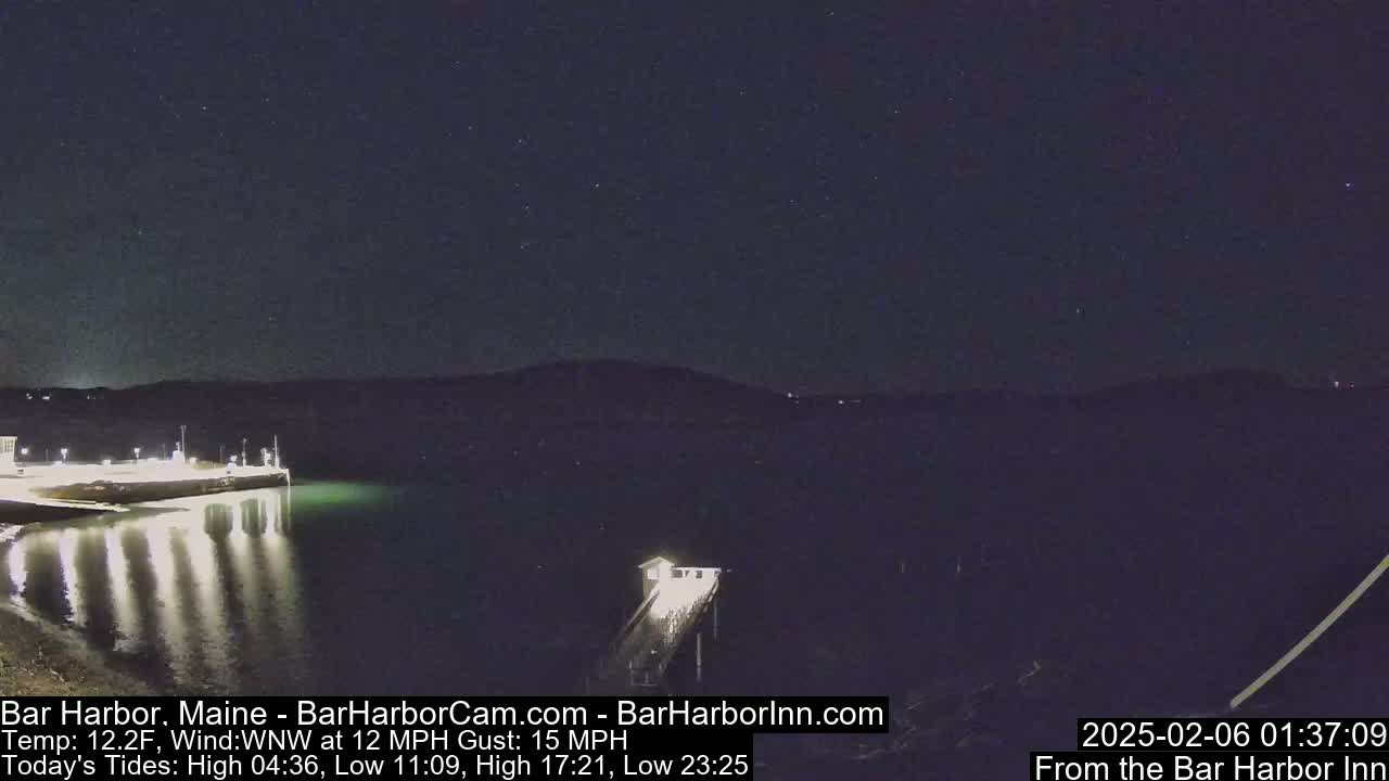 A nighttime view of a harbor with a pier and calm water under a clear, starry sky.