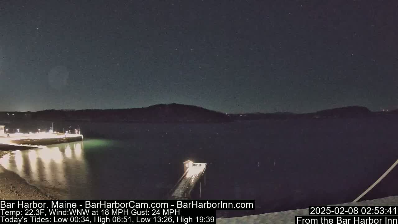 A nighttime view of a calm harbor with a pier extending into the water under a clear, starry sky.