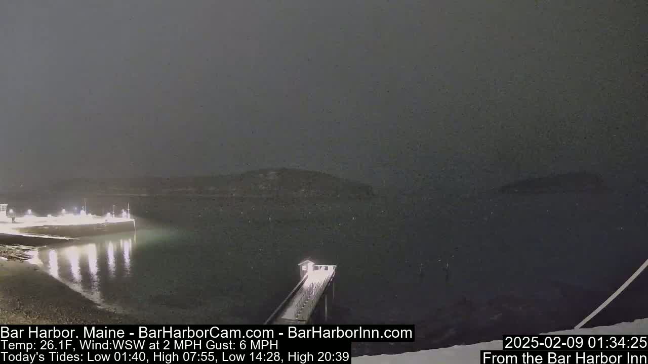 A dark, nighttime scene shows a long pier extending into a calm body of water under a gray, possibly snowy sky.