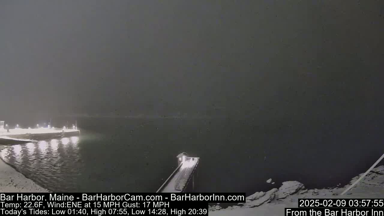 A nighttime, snowy scene shows a dark body of water with a pier extending from a snow-covered shore under a dark, overcast sky.