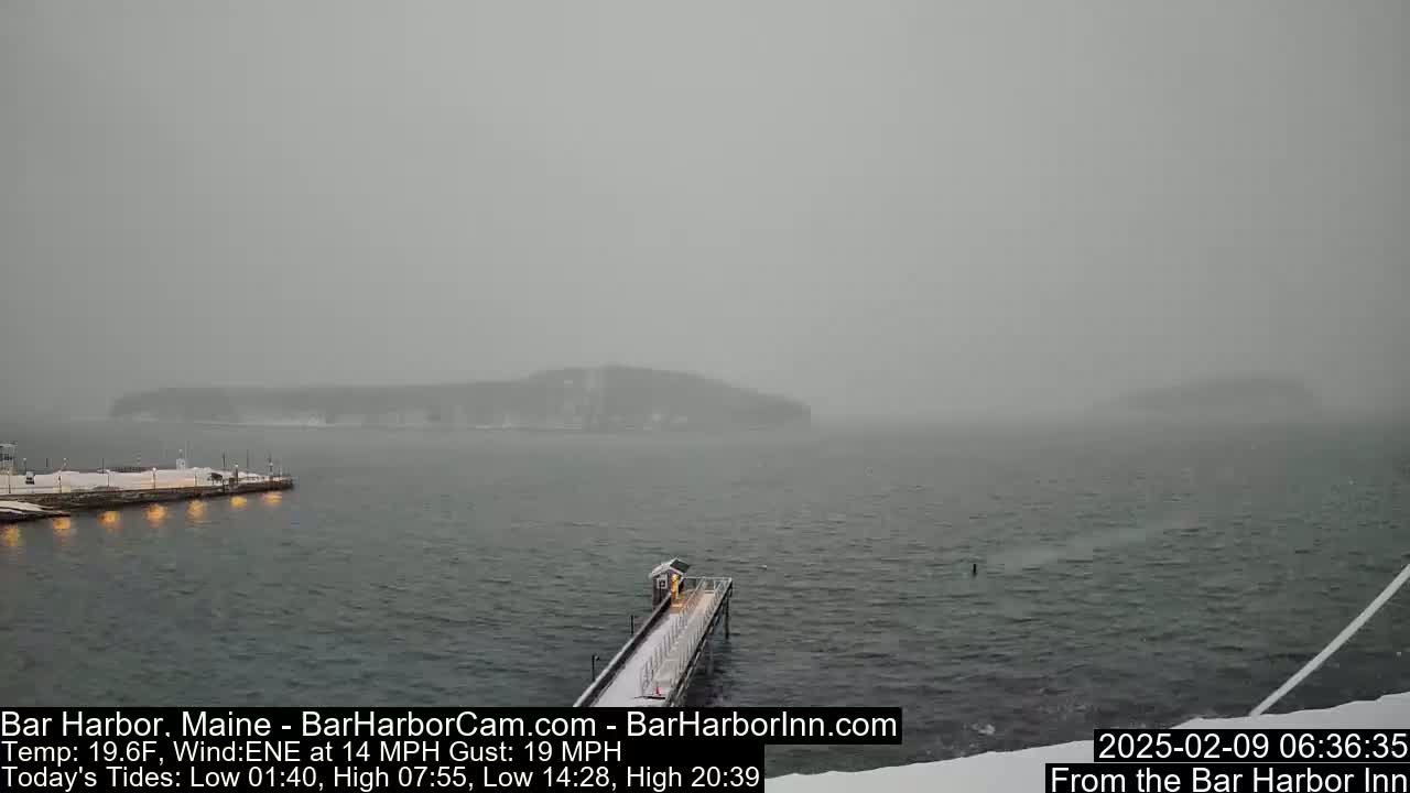 A snow-covered pier extends into a gray, snow-filled harbor, with a distant island barely visible through the heavy snowfall.