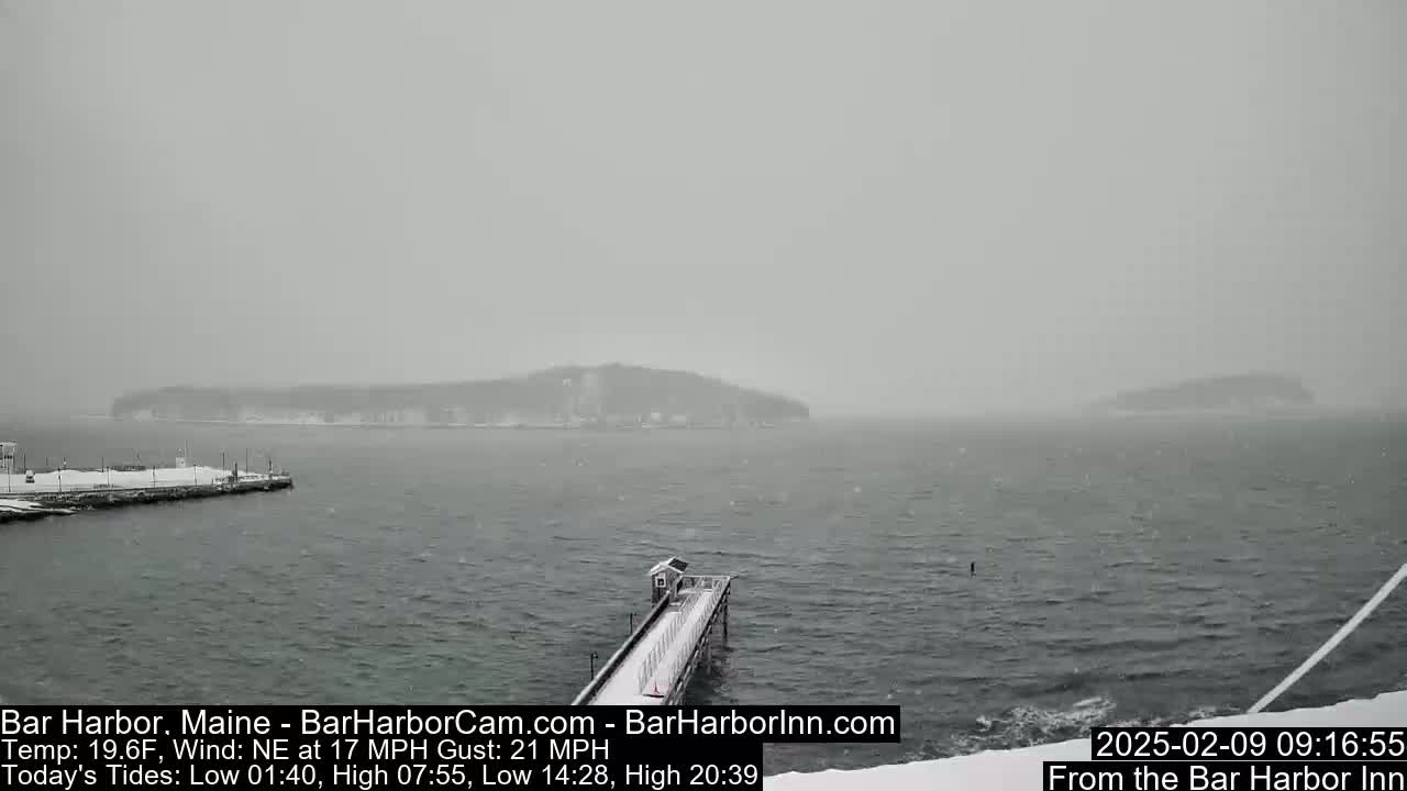 A snow-covered pier extends into a gray, snow-filled ocean toward a distant, snow-covered island under overcast skies.