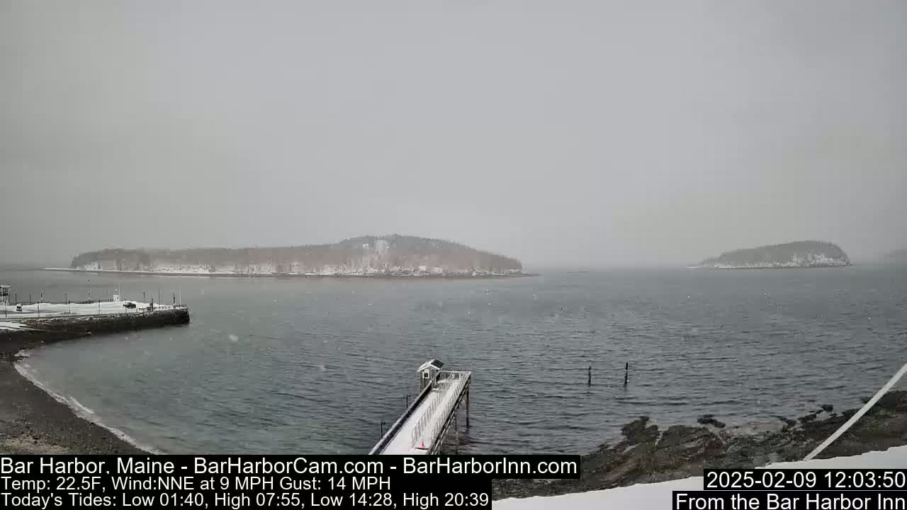 A snow-covered, snow-swept harbor scene shows a pier extending into gray water toward small, snow-dusted islands under an overcast sky.