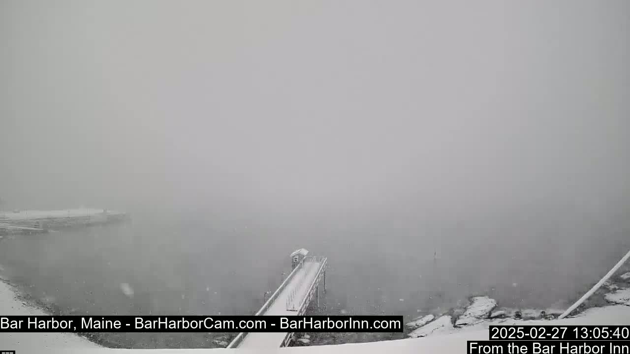 A snow-covered pier extends over a body of water in heavy snowfall.