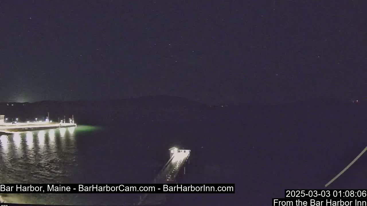 A nighttime view of a calm body of water illuminated by lights on a pier and shoreline under a clear, starry sky.
