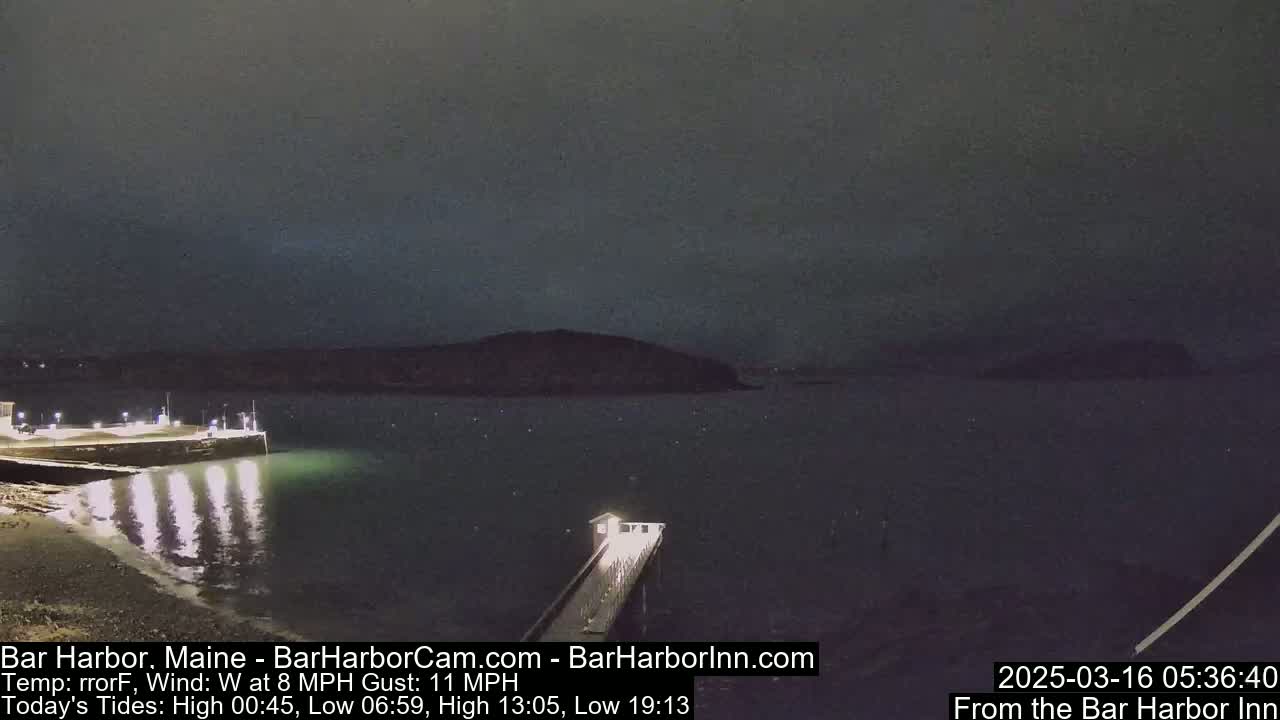 A nighttime, dimly lit harbor scene shows a long pier extending into calm, dark water, with a landmass visible in the distance under an overcast sky.