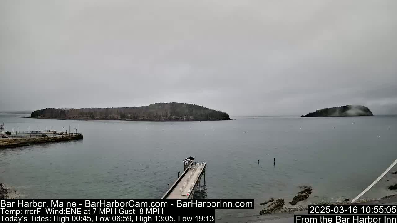 A long pier extends into a calm, gray body of water, with a small, tree-covered island visible in the distance under an overcast sky.