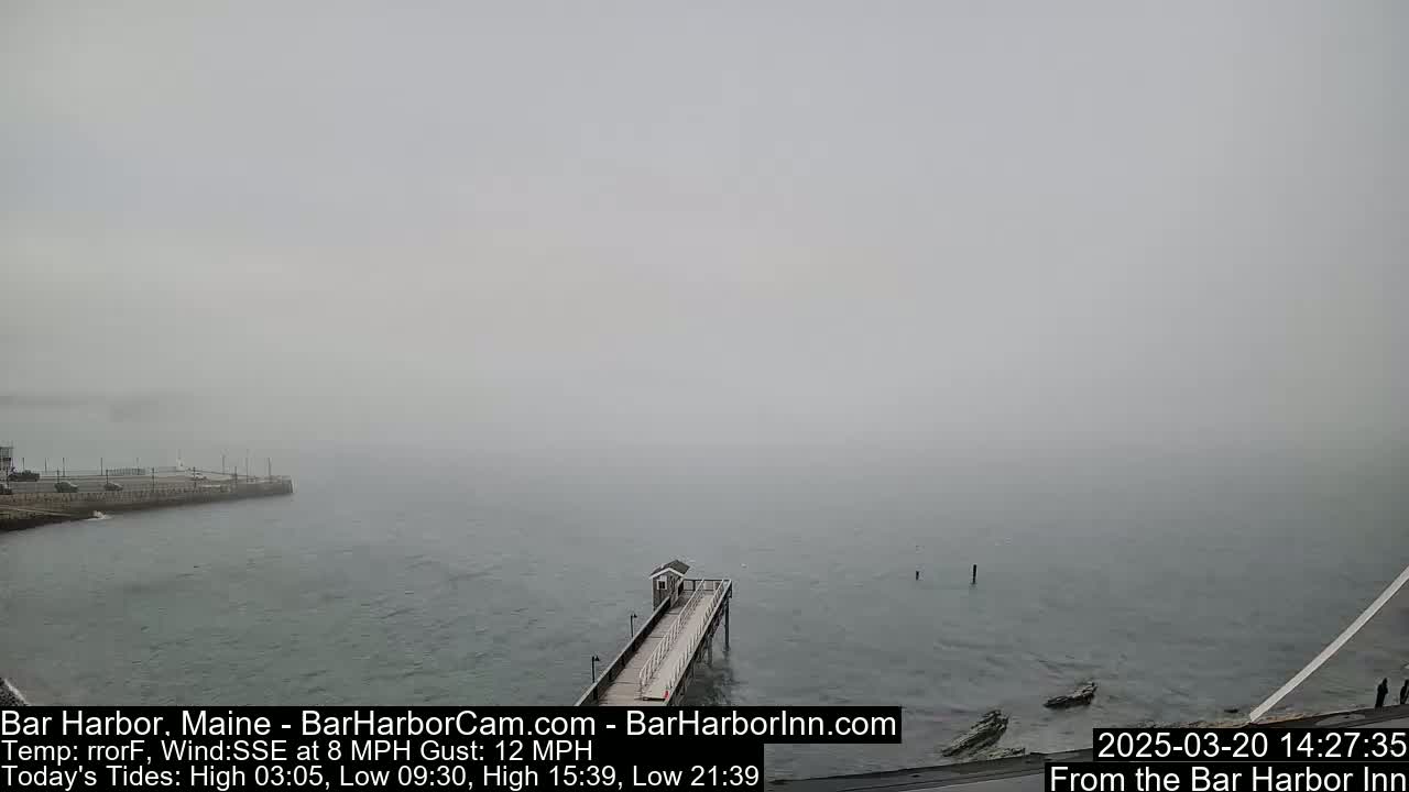 A long pier extends into a foggy body of water, with a shoreline visible in the background.