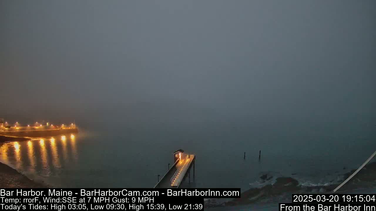 A dimly lit pier extends into a foggy harbor at night, with lights illuminating the shoreline.