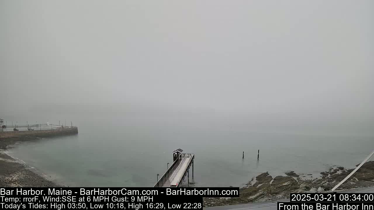 A foggy seaside scene shows a pier extending into calm, gray water from a rocky shore.