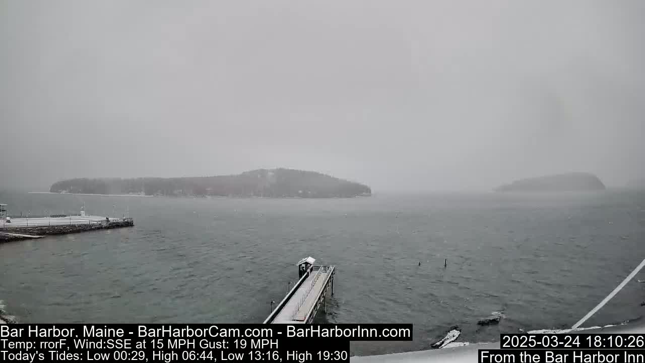A snow-covered pier extends into a gray, snow-filled harbor, with a distant island visible through the heavy snowfall.