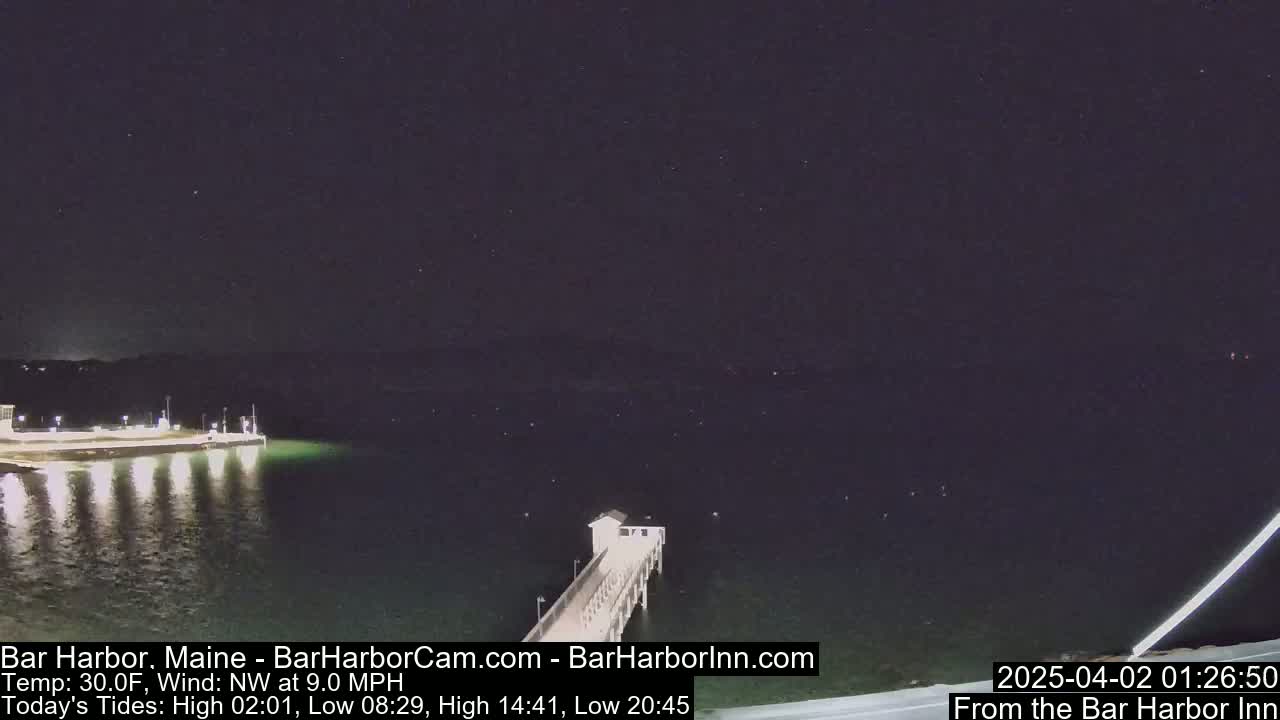 A long pier extends into a dark, calm body of water under a clear, starlit night sky.