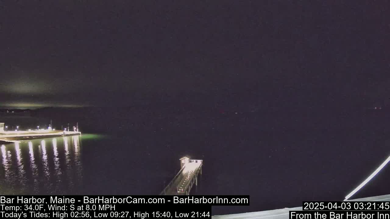 A nighttime view of a calm body of water with a lit pier extending from a shoreline into the dark water.