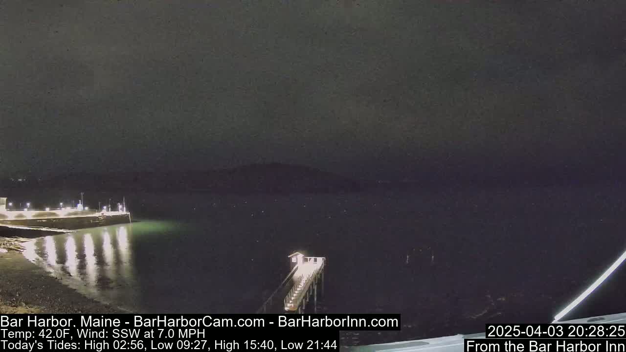 A nighttime view of a calm body of water with a pier extending from a lit shoreline under a dark, overcast sky.