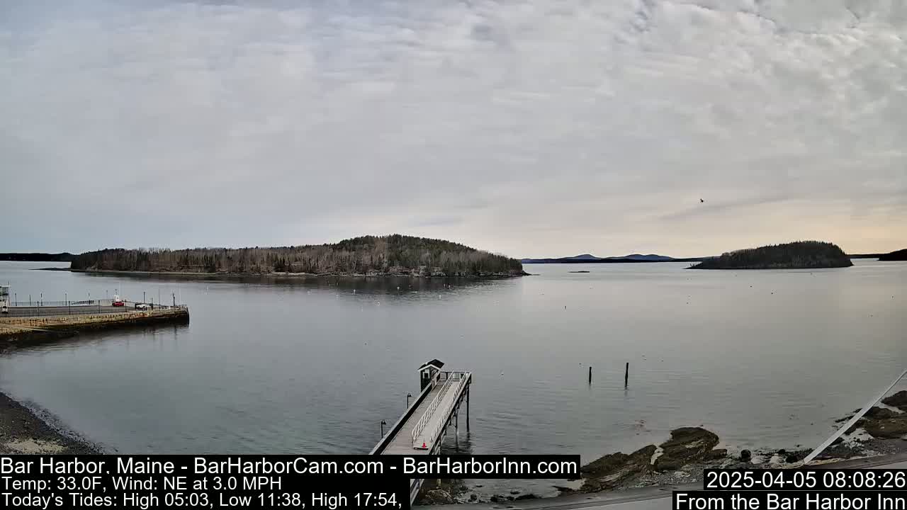 A calm body of water with small islands in the distance is seen under an overcast sky; a pier extends into the water from the foreground.