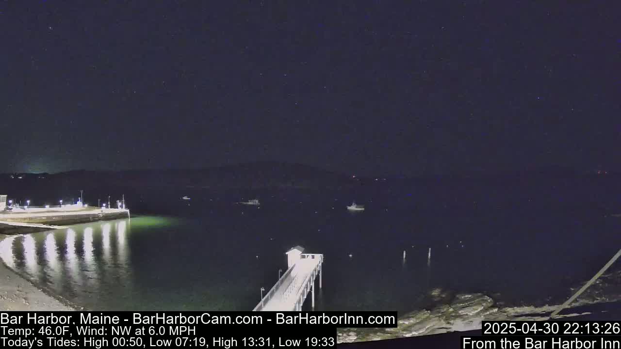 A nighttime view of a calm harbor with a pier extending into the water under a clear, starry sky.