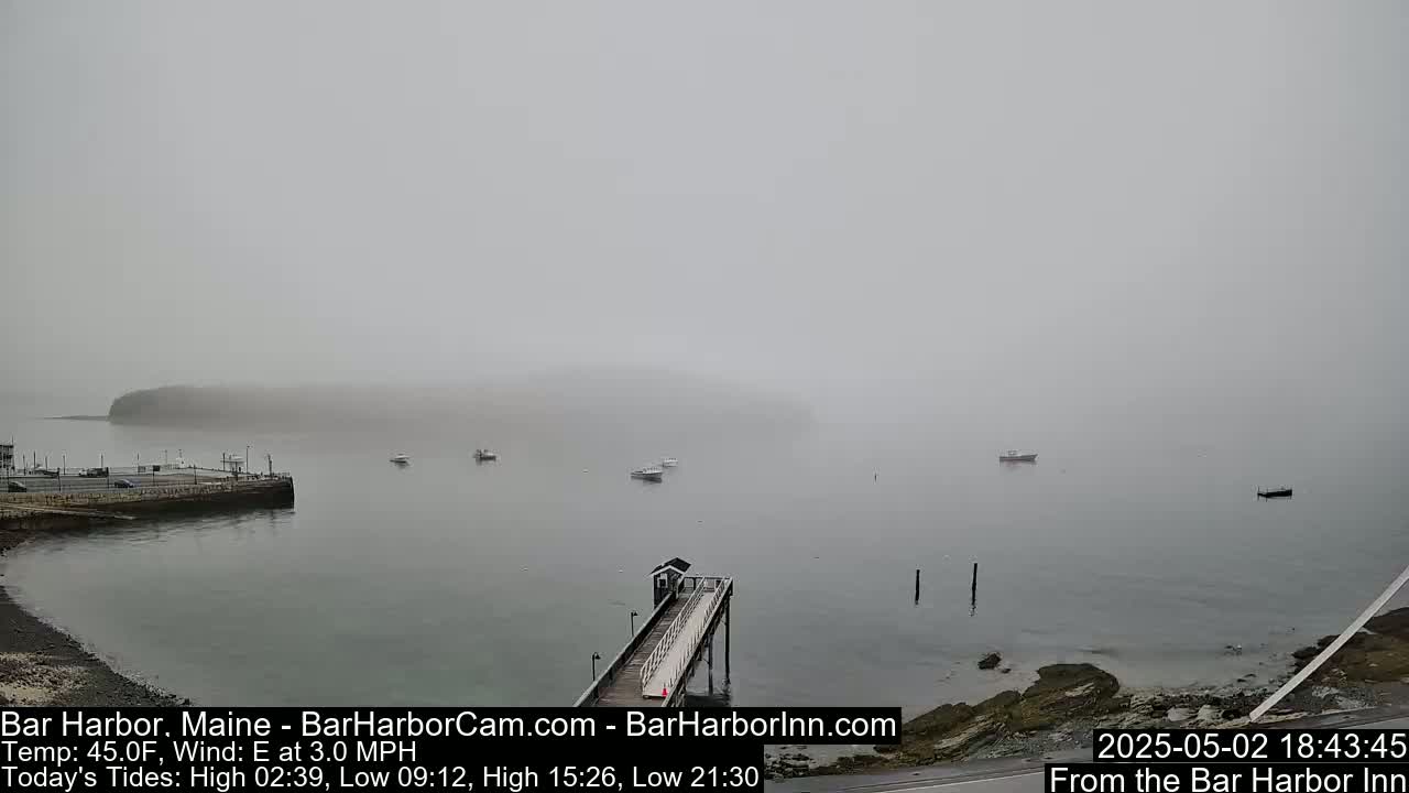 A foggy harbor scene shows a pier extending into calm water, with several small boats and a distant island barely visible through the mist.