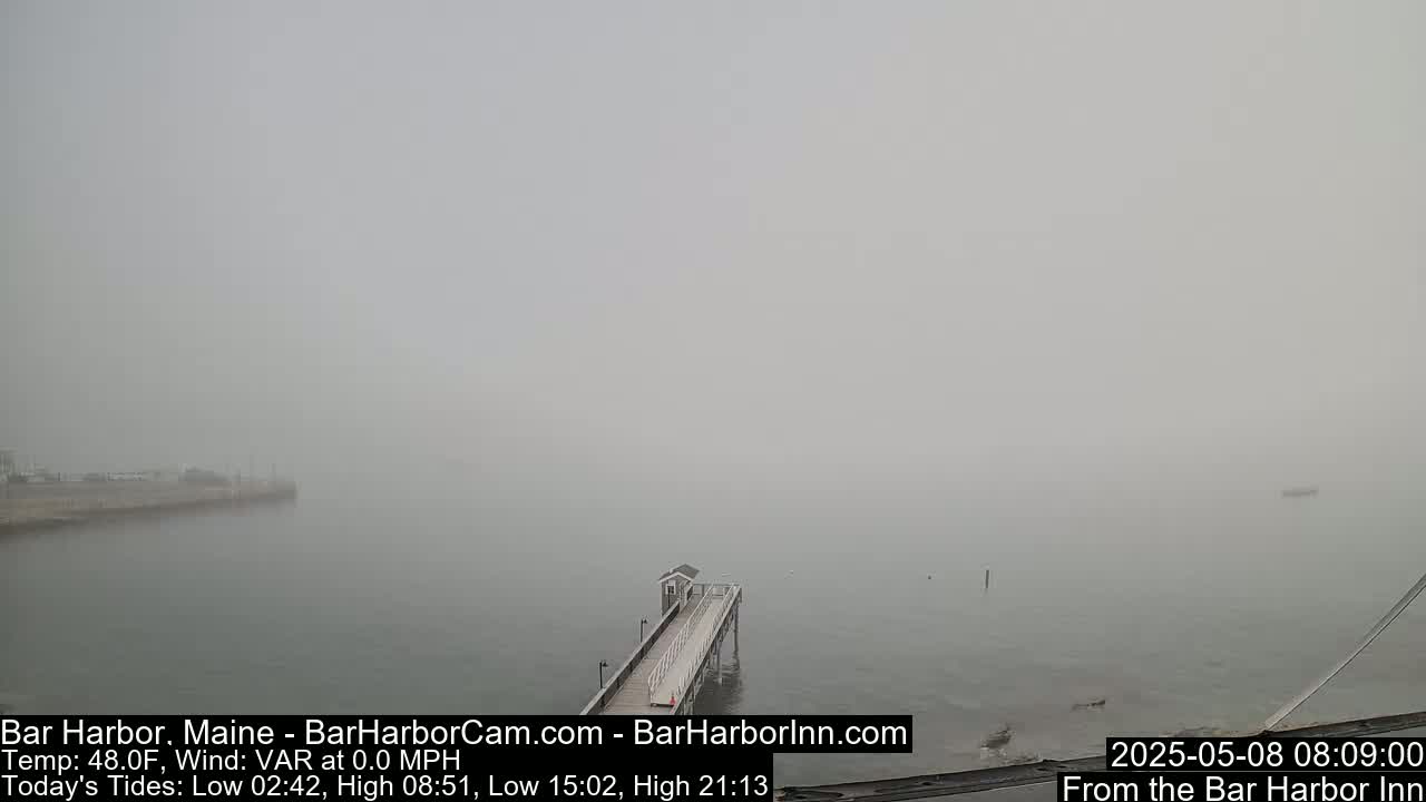 A pier extends into a foggy body of water.
