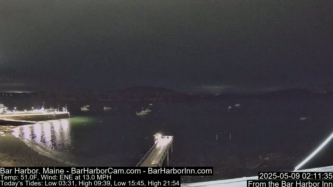 A nighttime view of a harbor with several boats, a pier, and a dark sky.