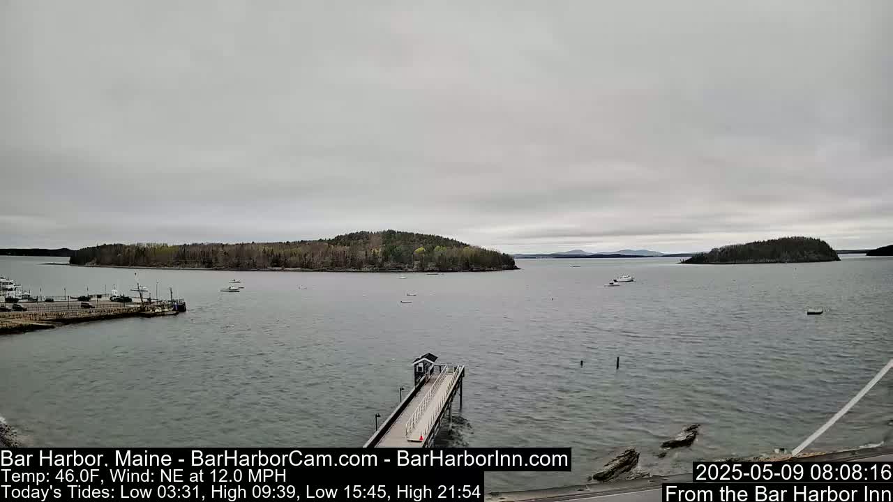 A long pier extends into a calm, gray-skied harbor, with several boats and islands in the distance.