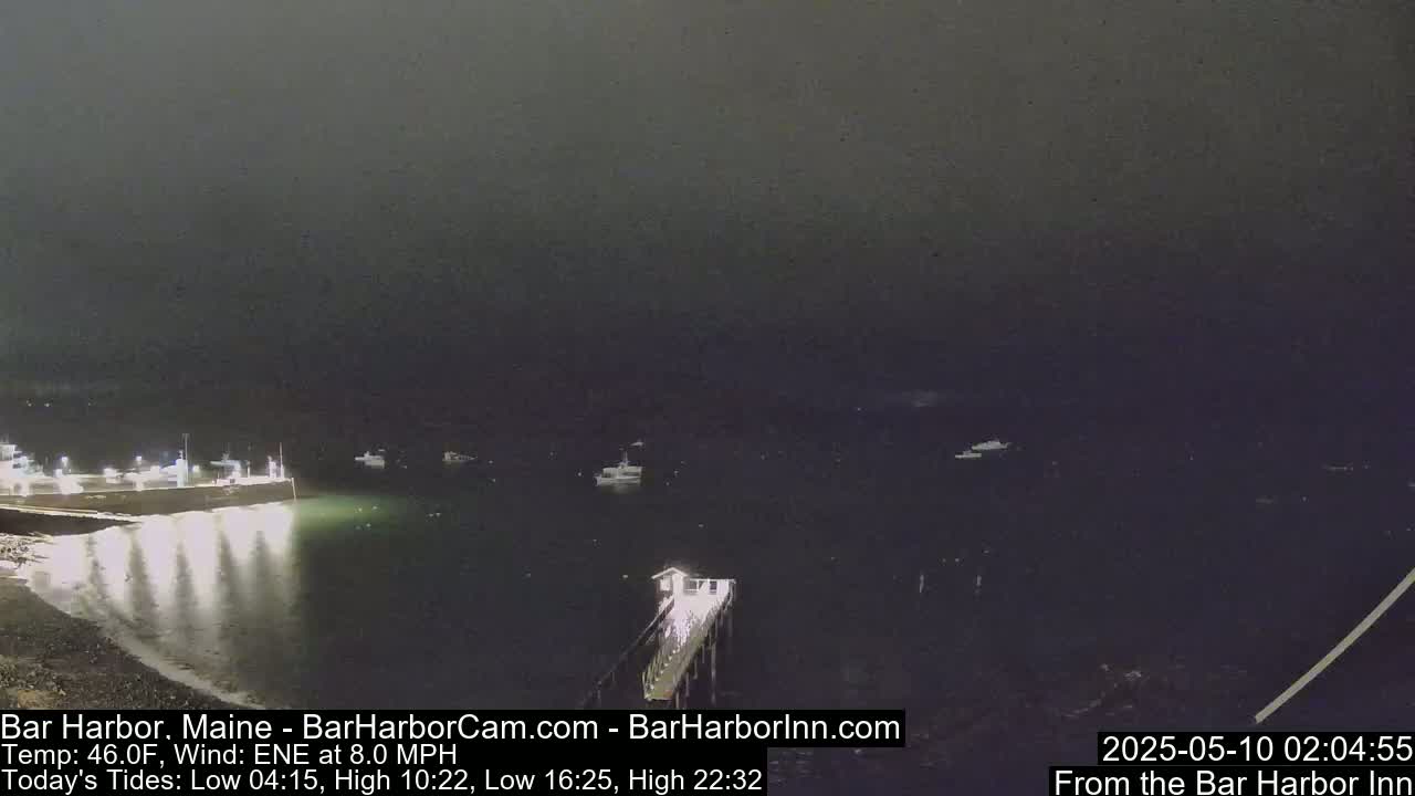 A nighttime view of a harbor with several boats moored, a pier extending into the water, and a dark, overcast sky.