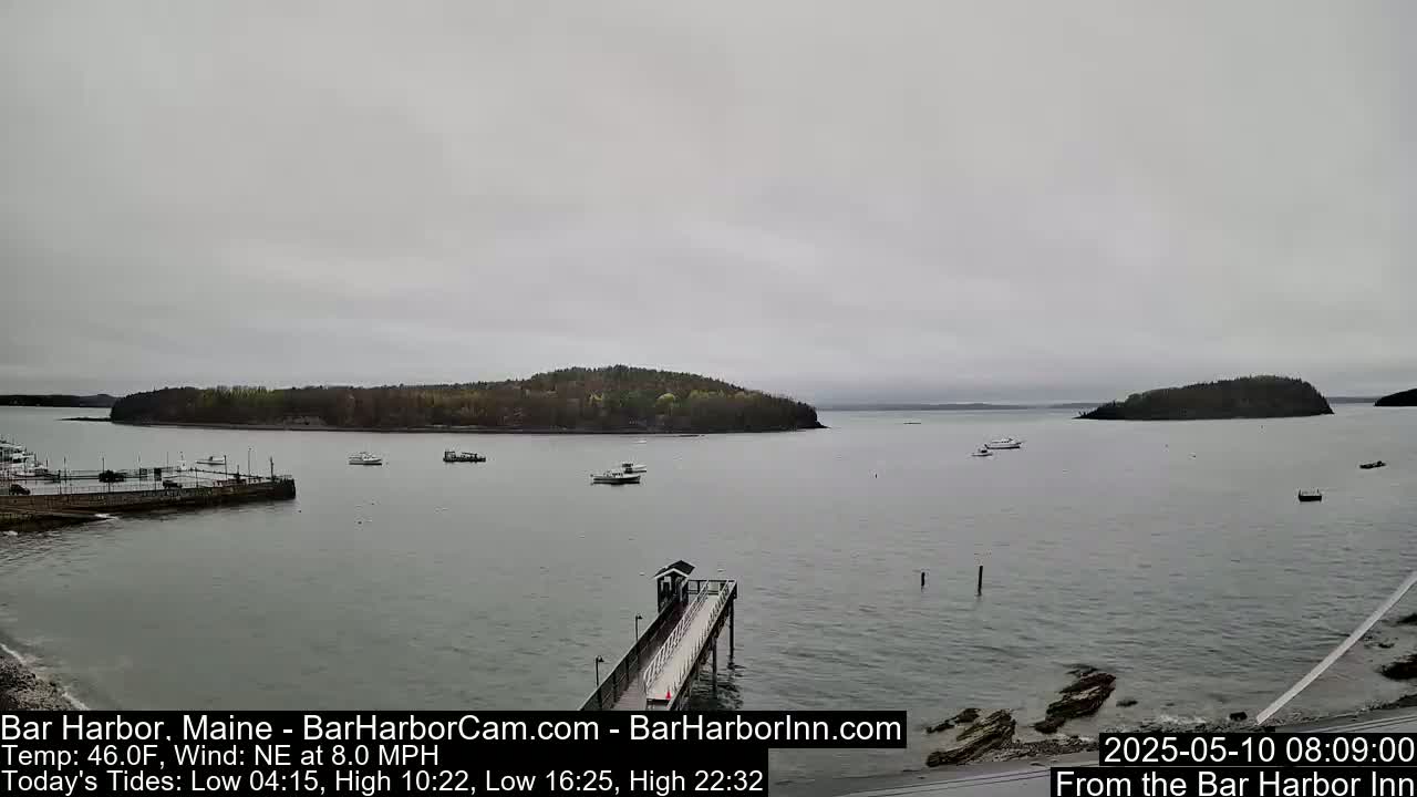 A calm, overcast day shows a harbor with several boats and a long pier extending into the water, with islands in the background.