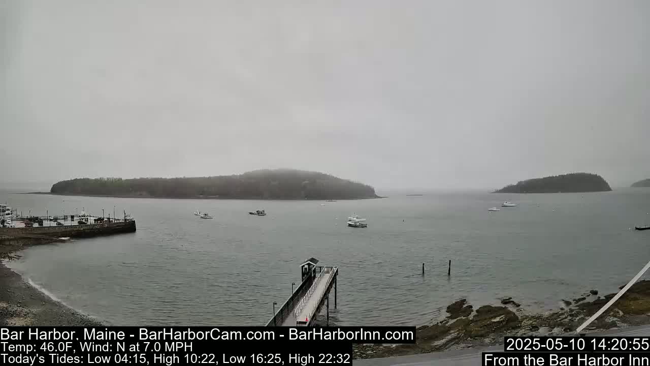 A foggy harbor scene shows several boats and a long pier extending into calm water, with islands in the distance.