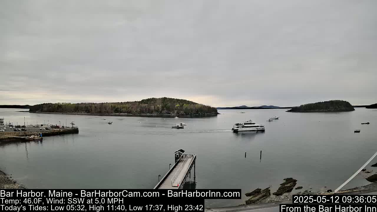 A calm harbor with several boats and a long pier, under an overcast sky.