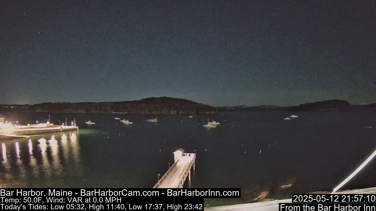 A nighttime view of a calm harbor with several boats and a pier, under a clear, starry sky.