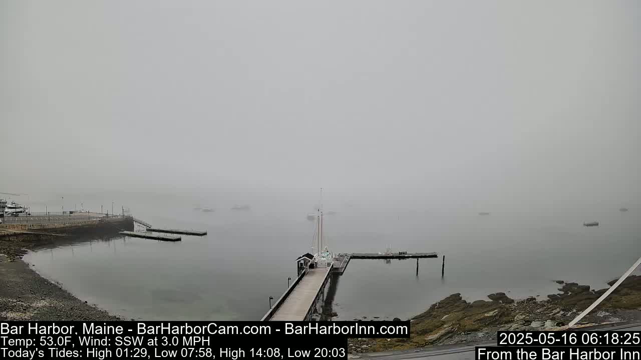 A foggy harbor scene shows a pier extending into the water, with several boats moored nearby.