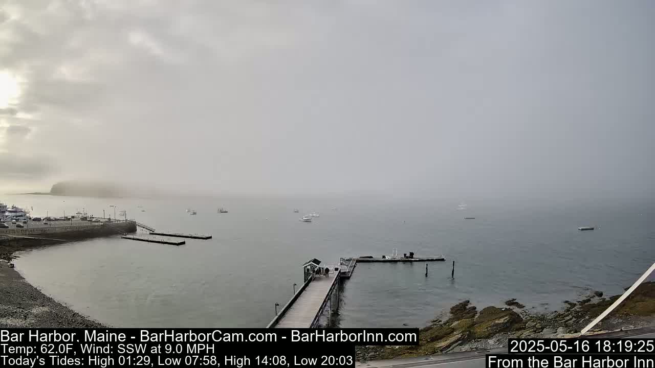 A foggy harbor scene shows a pier extending into calm water with several boats and a landmass shrouded in mist in the distance.