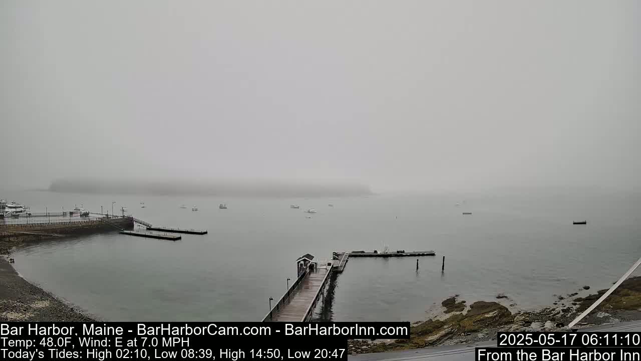 A foggy harbor scene shows a long wooden pier extending into calm water with several boats scattered throughout, and a landmass visible in the distance.