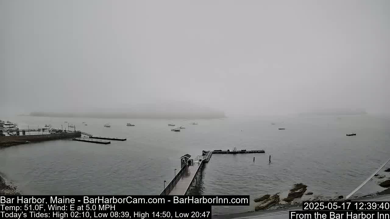 A foggy harbor scene shows a long pier extending into the water, with several boats scattered across the calm bay and land visible in the distance.
