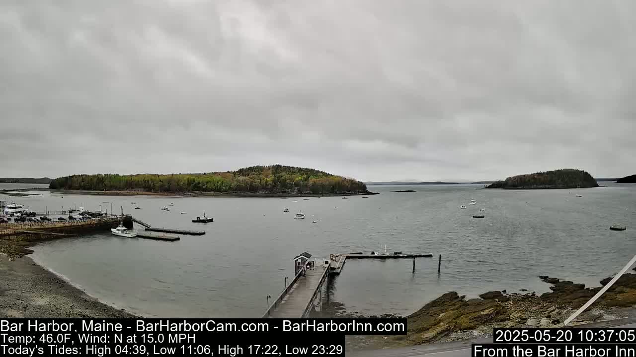 A tranquil harbor scene on an overcast day shows a small island, boats moored at a pier, and a calm body of water.