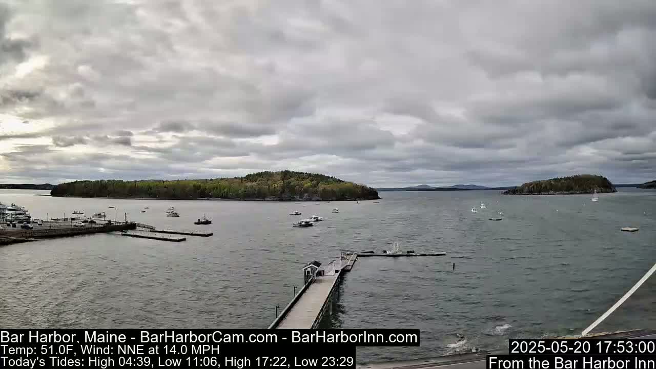 A harbor with several boats and a long dock under an overcast sky.
