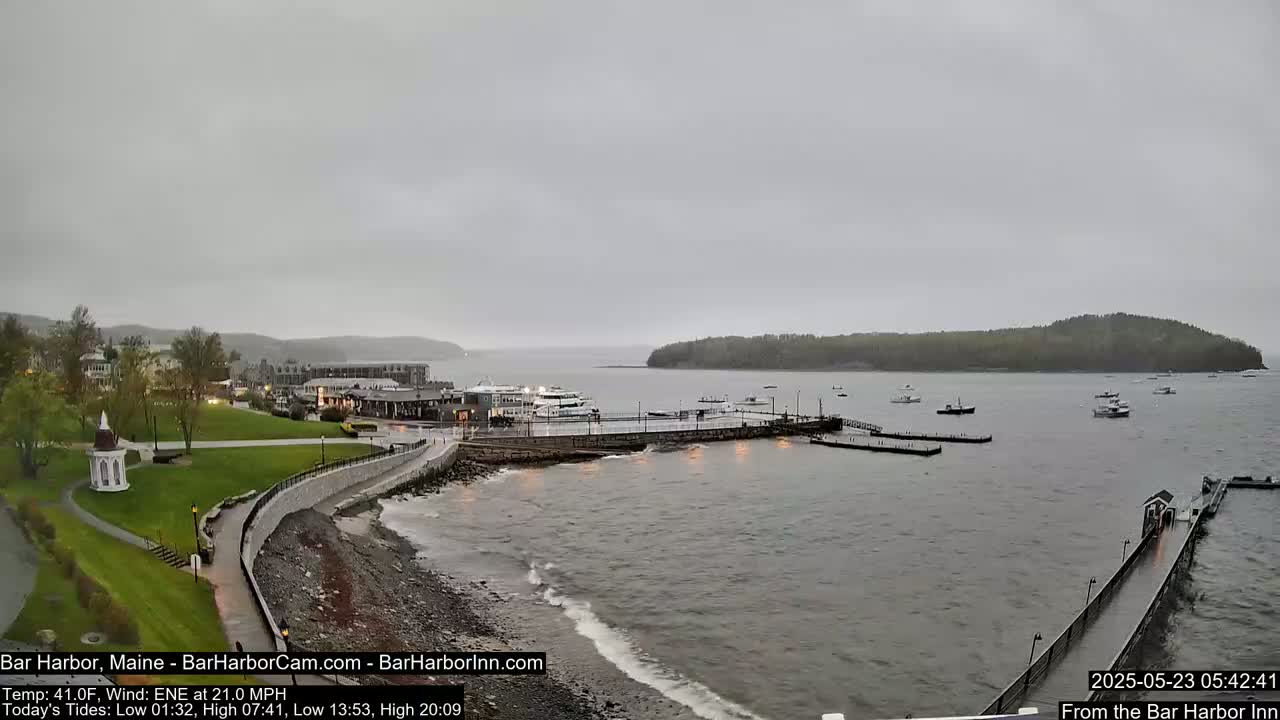 A harbor scene on an overcast day shows a town, boats docked at a pier, and a small island in the distance.