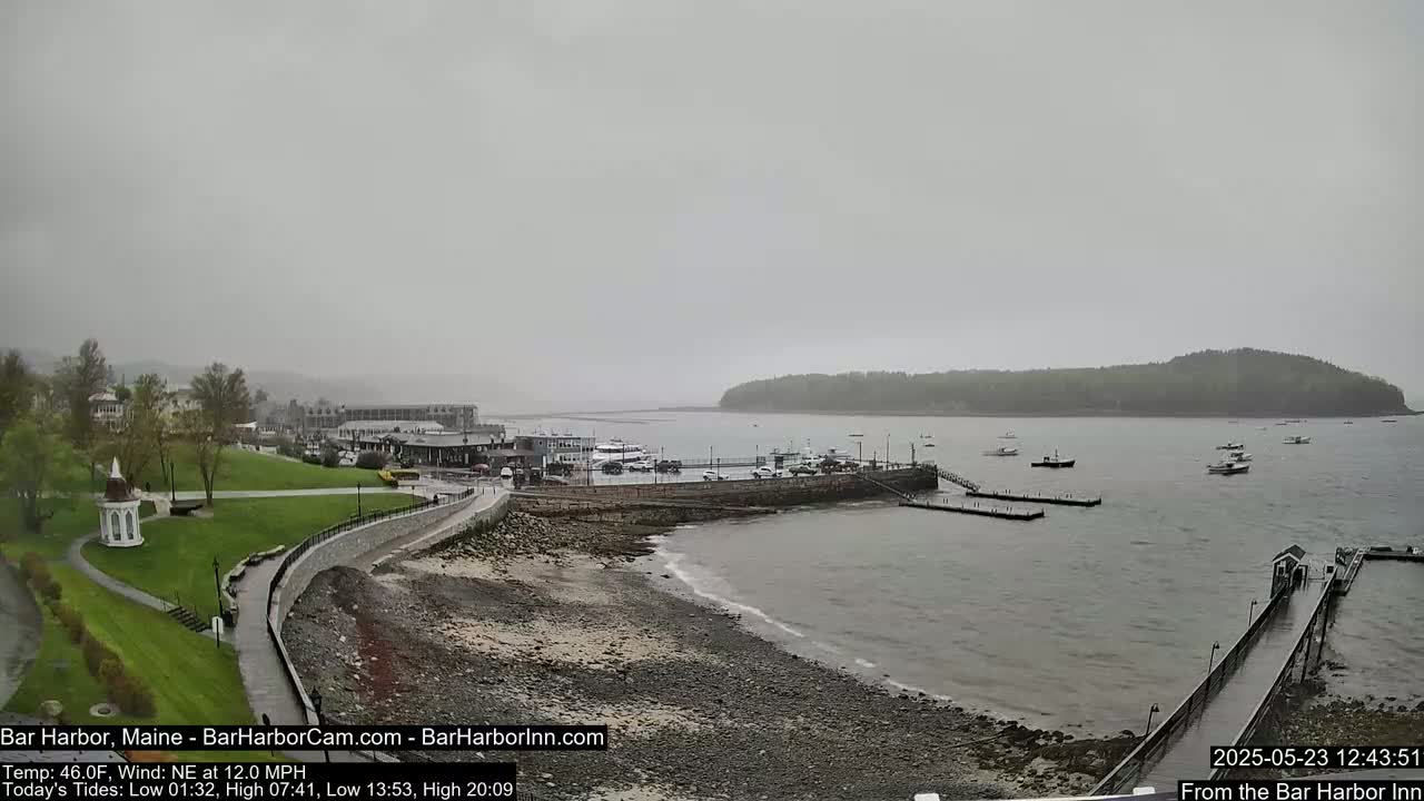 A coastal town scene on an overcast day shows a harbor with boats moored at docks, a grassy park, and buildings along the shoreline.