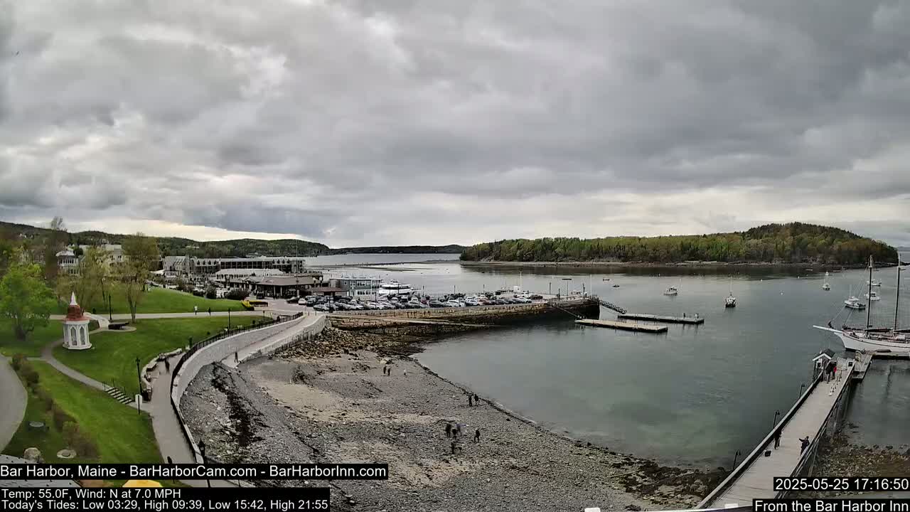 A rocky shoreline with a harbor full of boats is visible under an overcast sky.