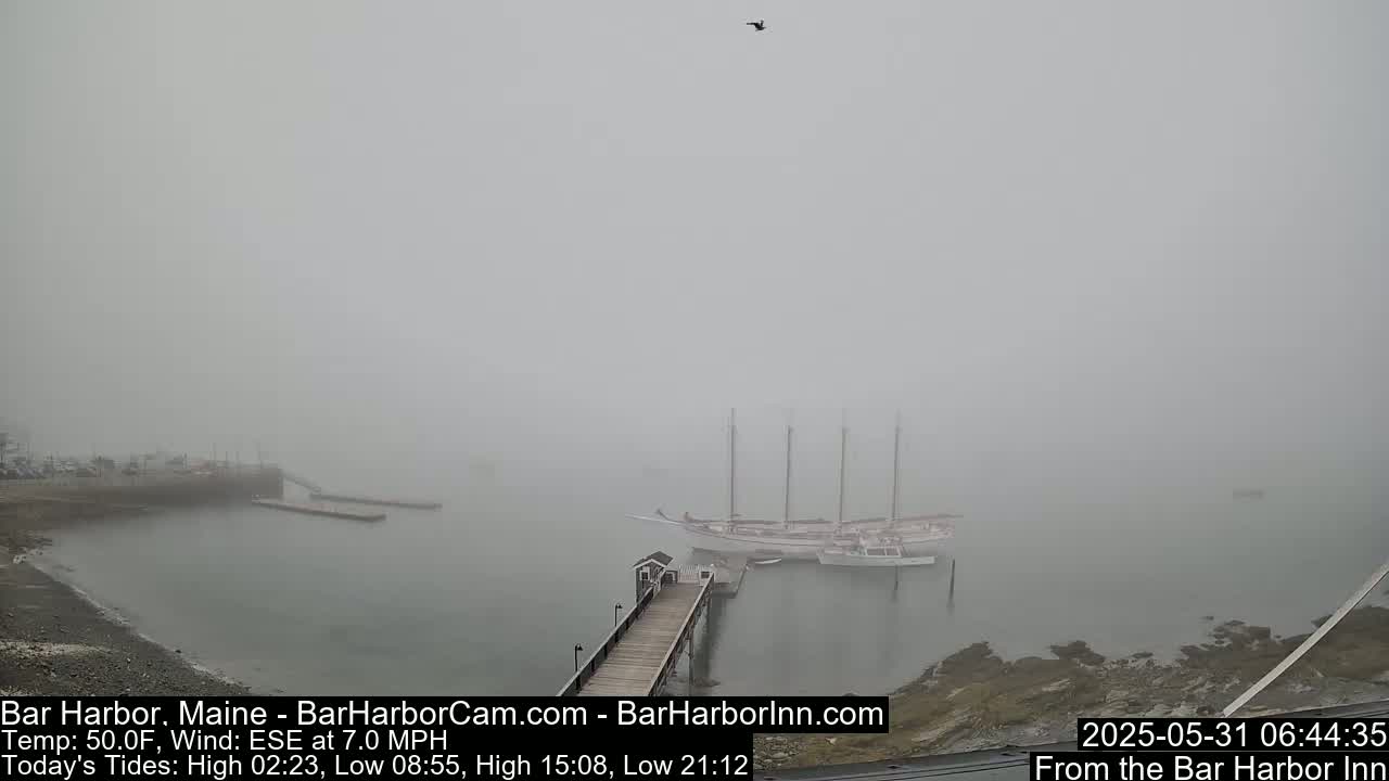A foggy harbor scene shows a large sailboat moored at a pier with several other smaller boats nearby.