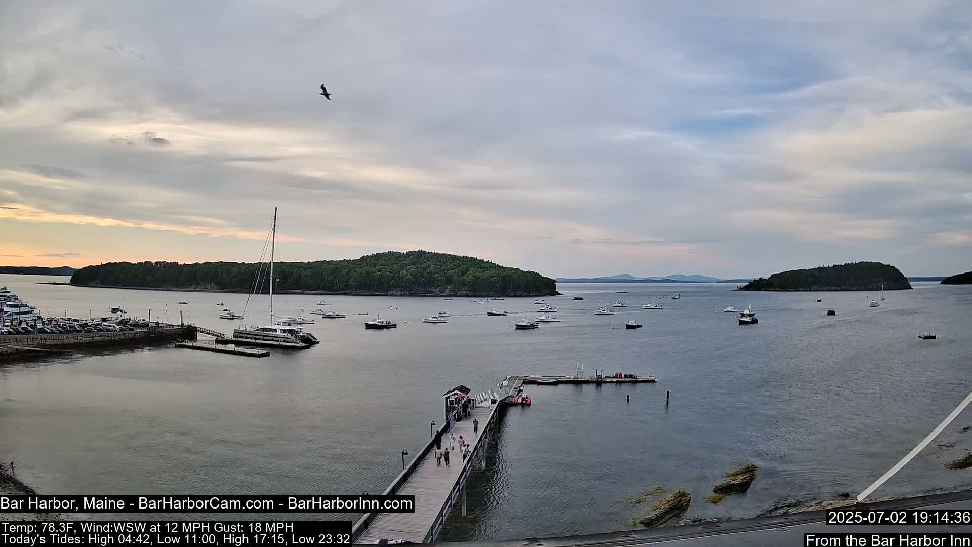 Bar Harbor North View Live Cam - Maine, USA