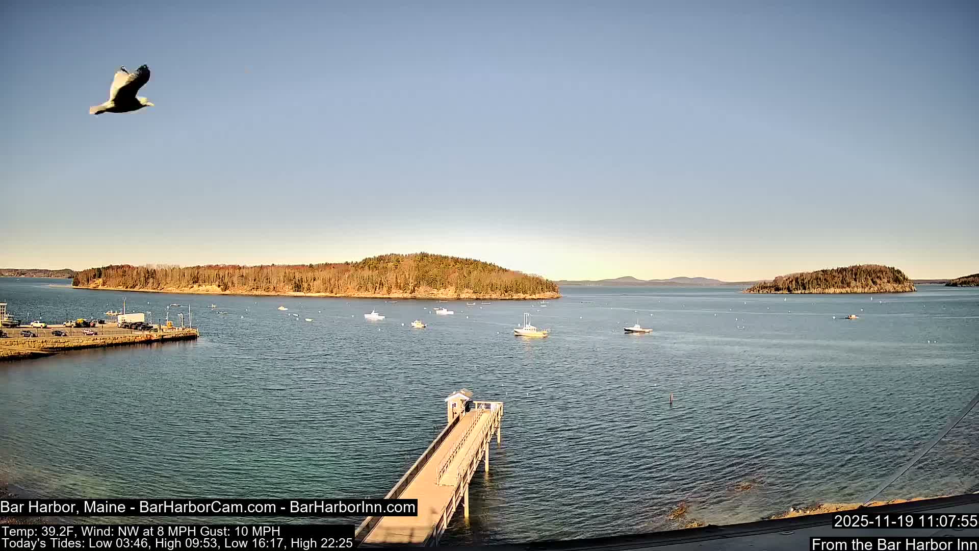 Bar Harbor North View Live Cam - Maine, USA