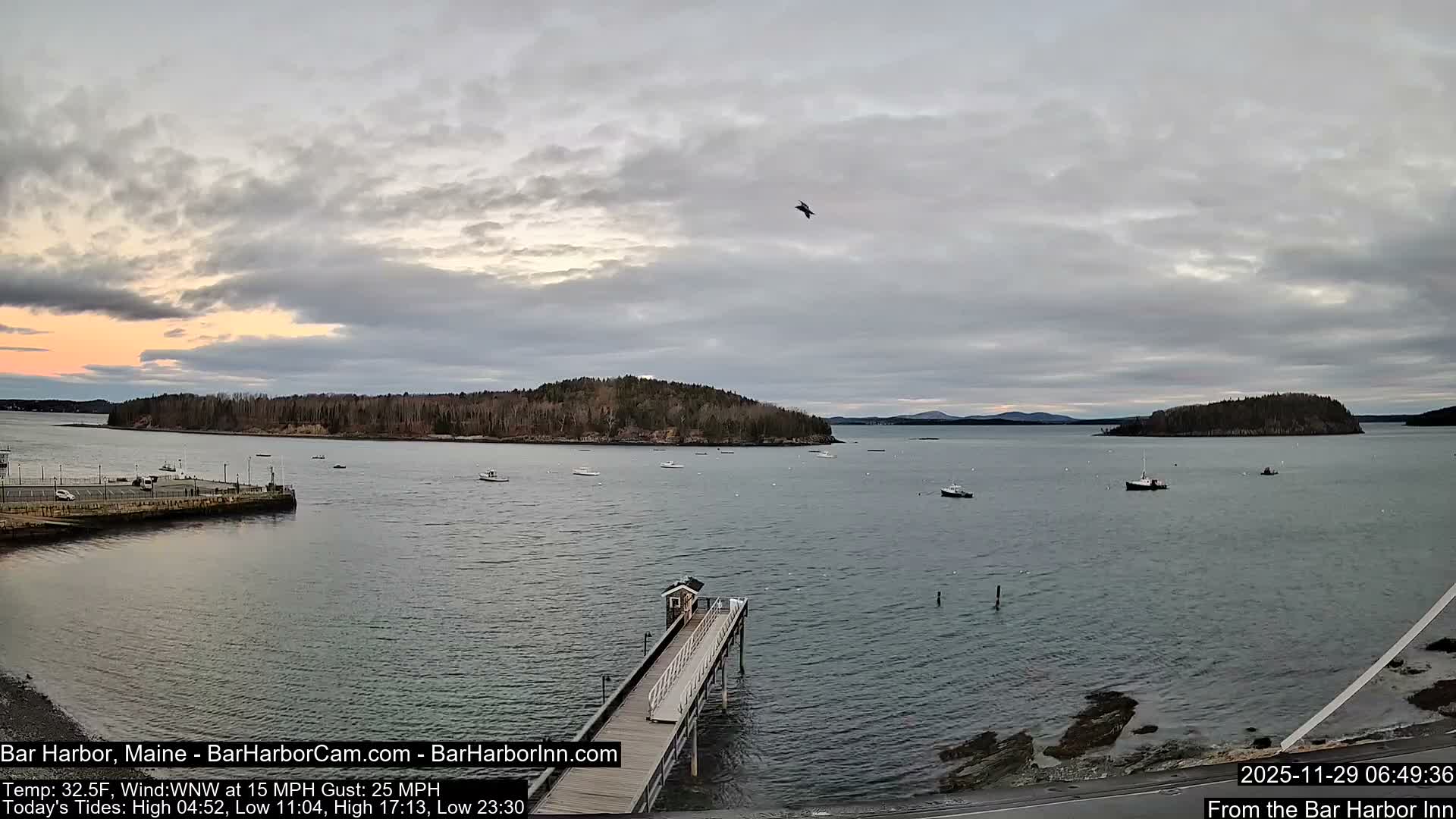 Bar Harbor North View Live Cam - Maine, USA