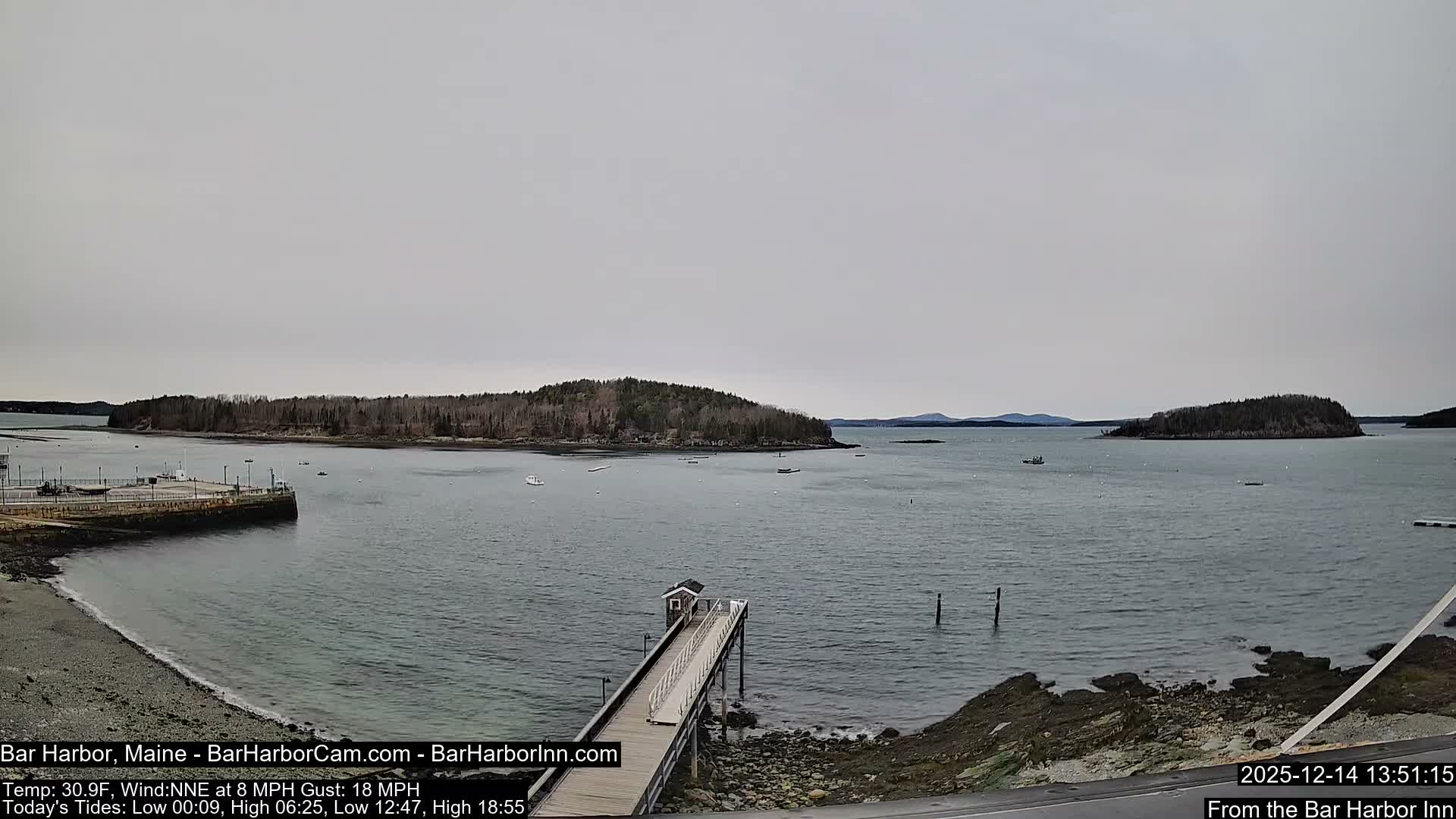 An overcast night scene of a harbor features illuminated docks and a pier reflecting on calm water, with dark, tree-lined islands in the background and boats scattered across the bay.