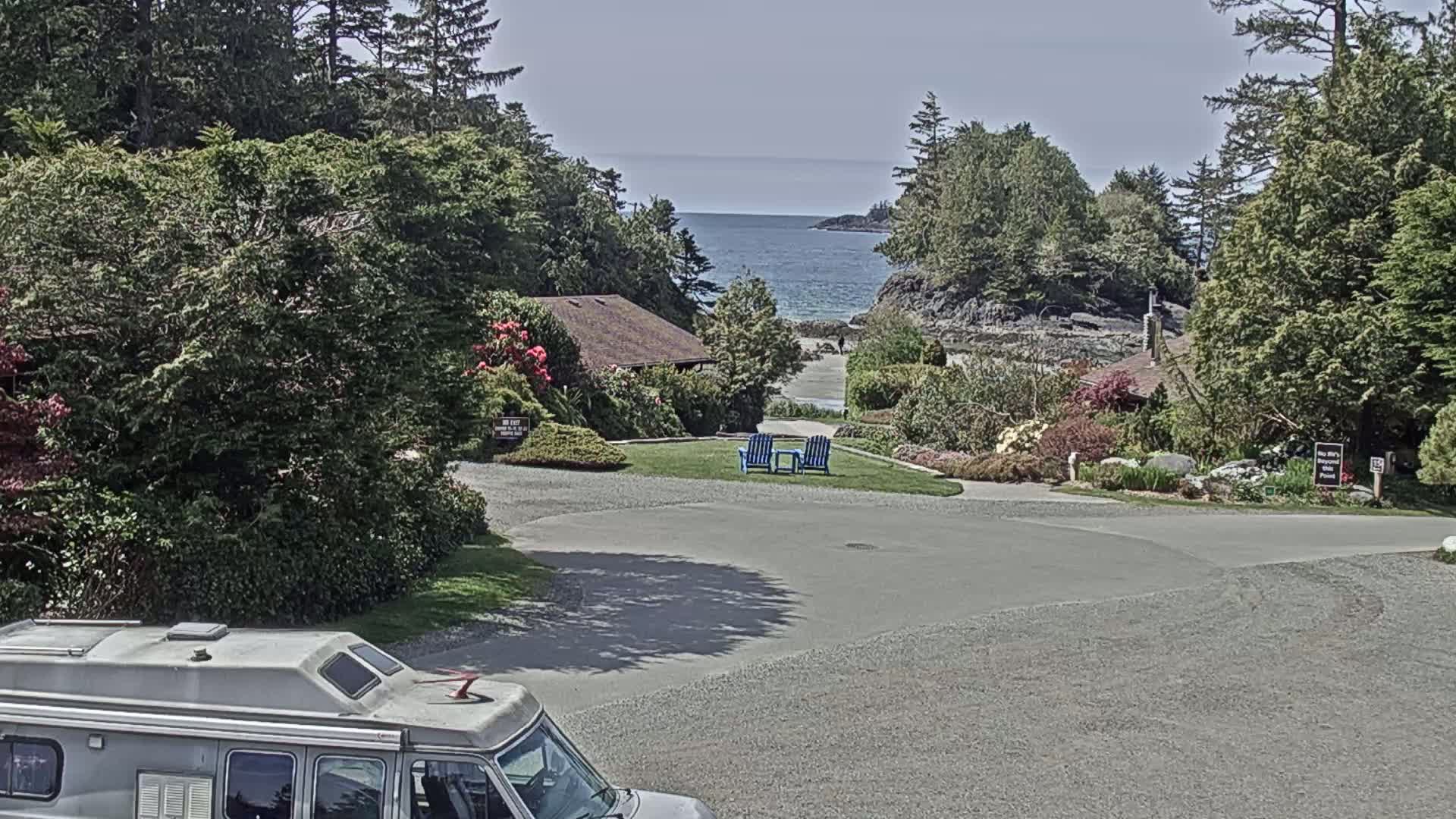 A gray camper van is parked in a gravel lot overlooking a calm ocean, with lush green vegetation and a small building in the foreground.