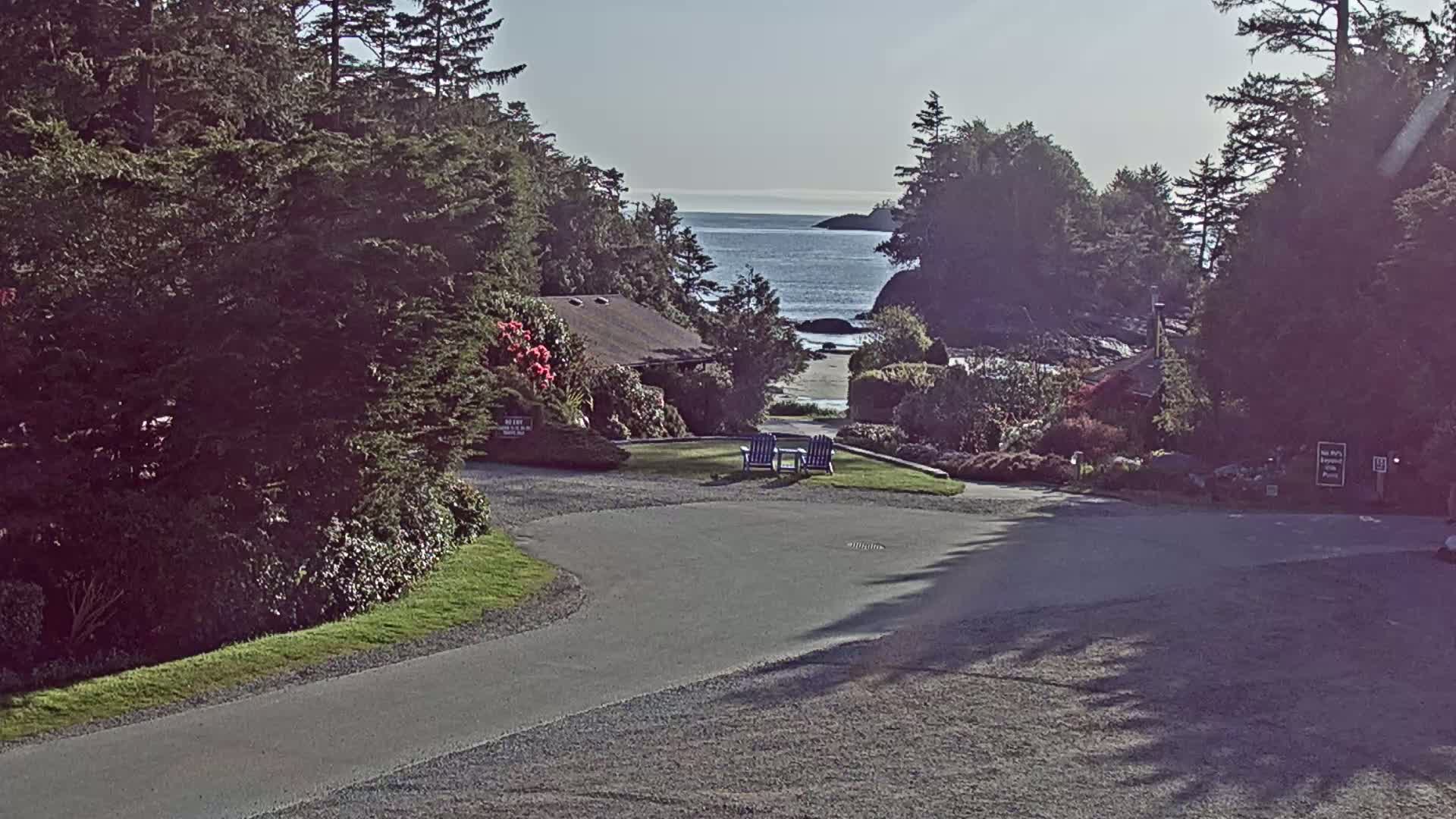 A paved road curves through a lush, green landscape toward a calm ocean view under a clear, bright sky, with two blue chairs sitting on a grassy area in the middle.