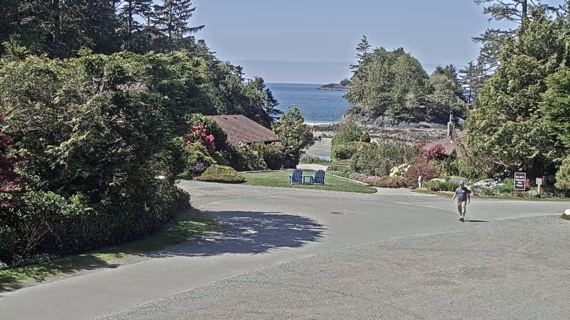 A man walks on a paved road toward a small house nestled among lush greenery overlooking a calm ocean on a sunny day.