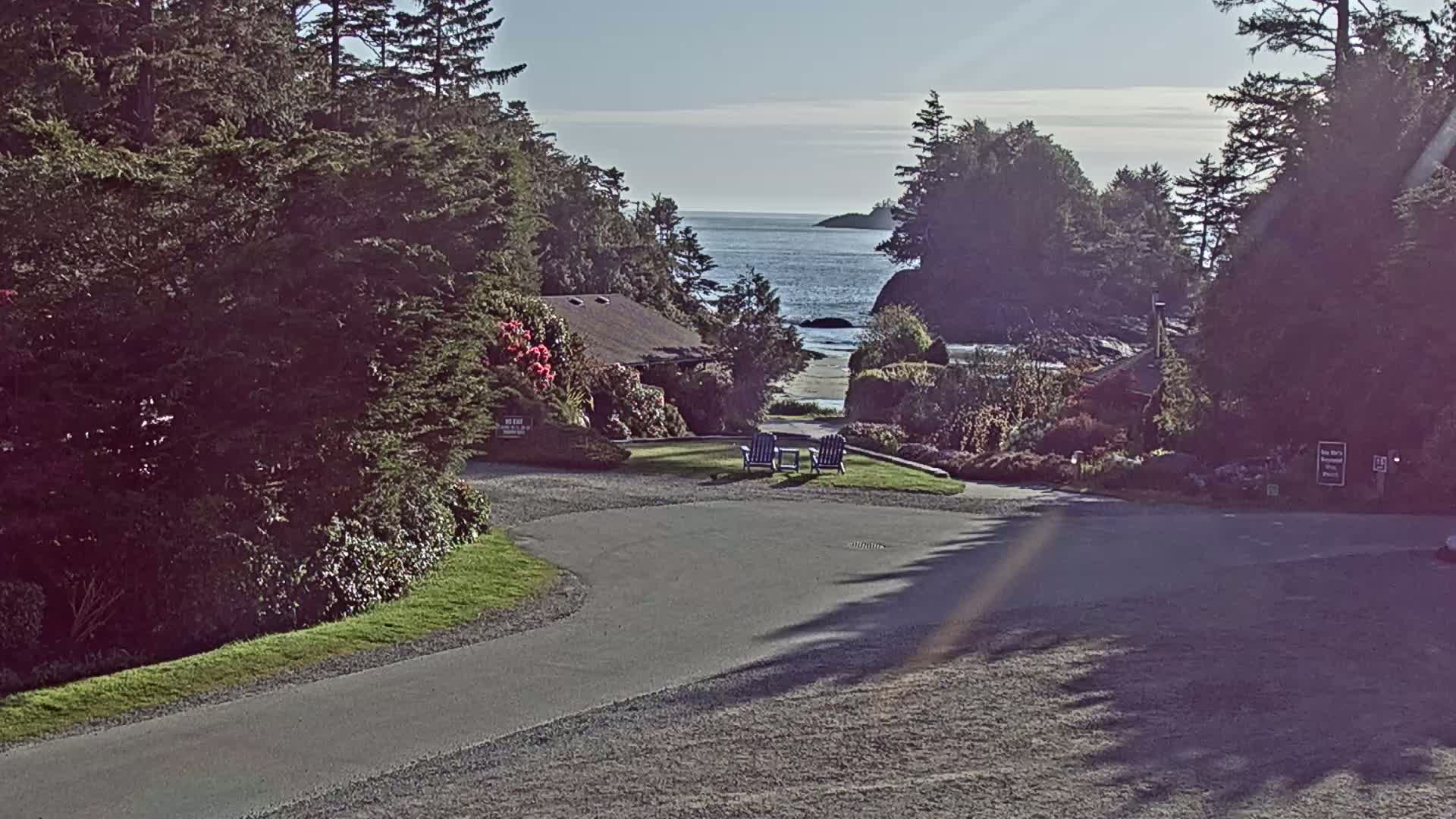 A paved road curves through a landscaped area with shrubs and trees, leading to a view of a calm ocean under a mostly sunny sky, with two blue chairs situated on a grassy area.