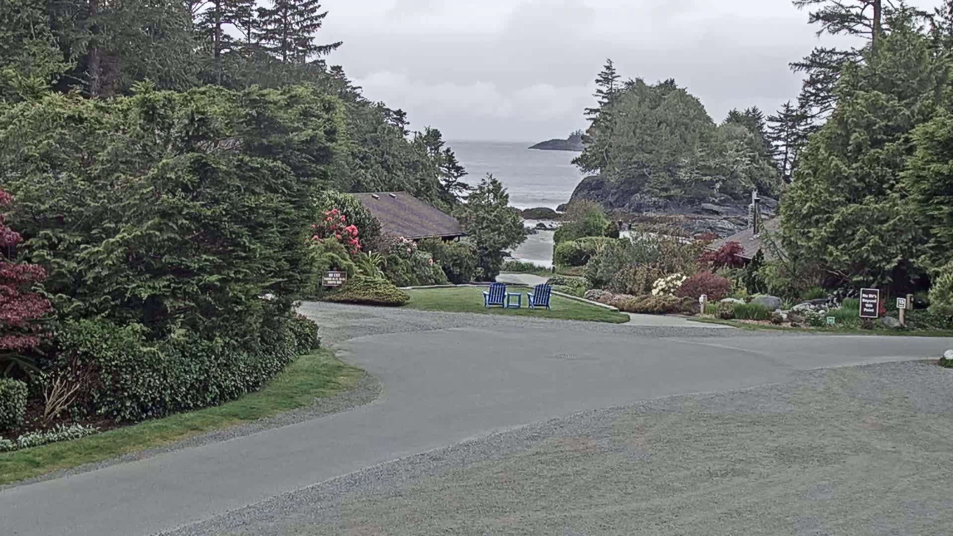 A paved path curves through a lush, green landscape toward a small building and a calm ocean visible beyond a rocky shoreline under an overcast sky.