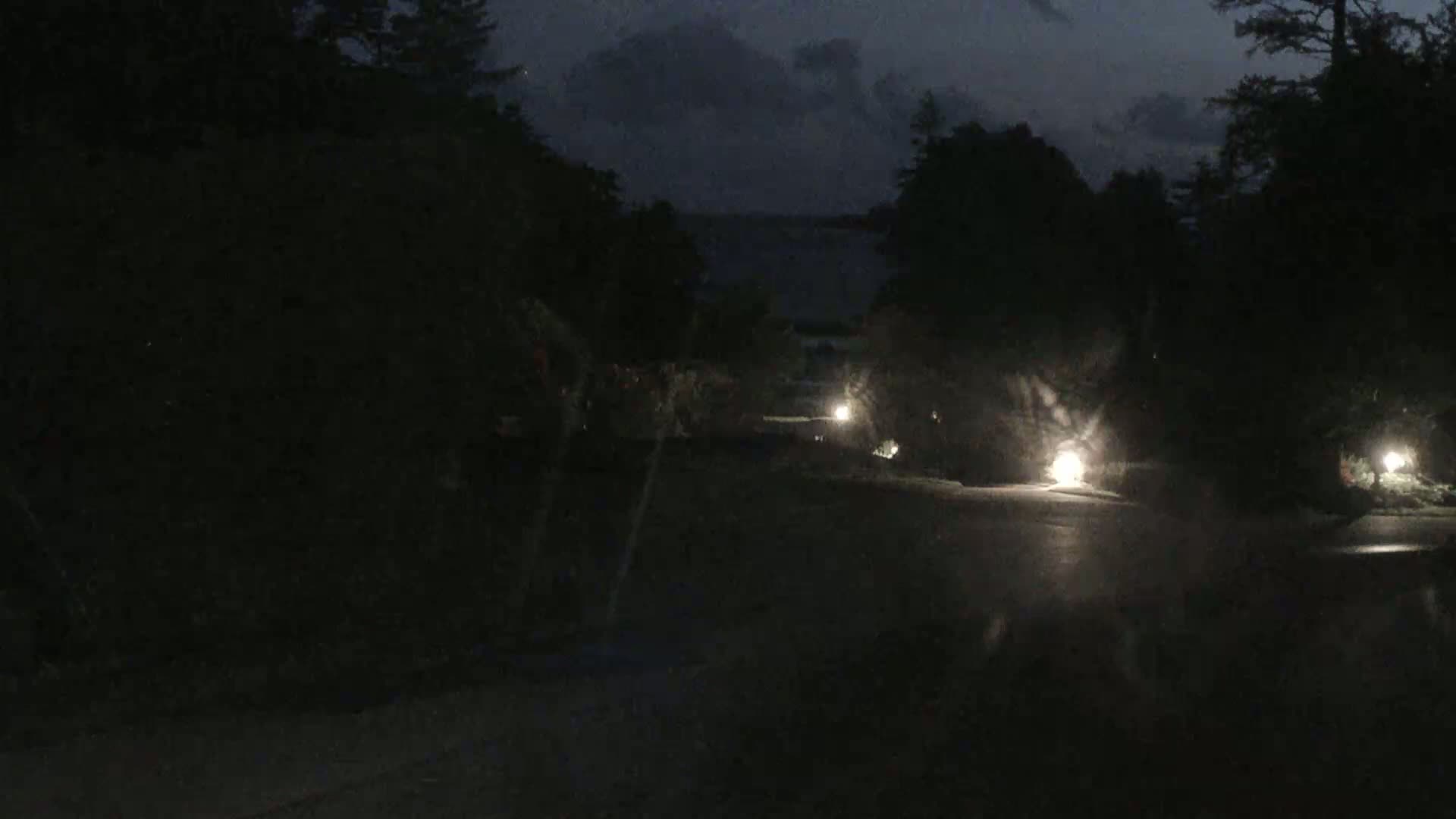 A dark, nighttime scene shows a wet road illuminated by several small lights, flanked by shadowy trees under a cloudy sky.